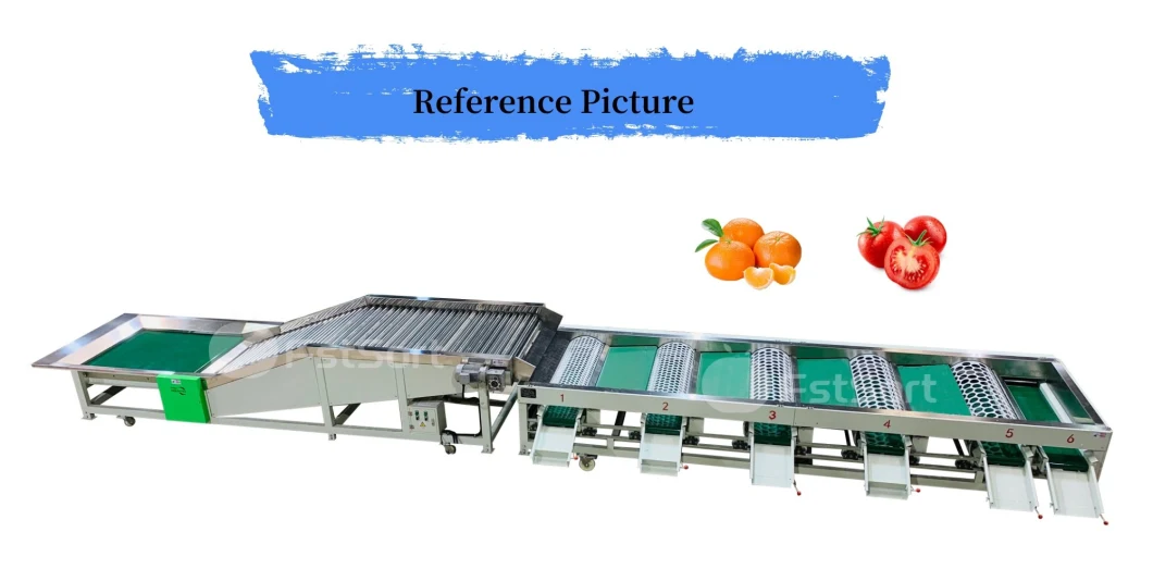 Fruit Vegetable Mandarin Orange Tangerine Tomato Sorting Grading Sizer Machine