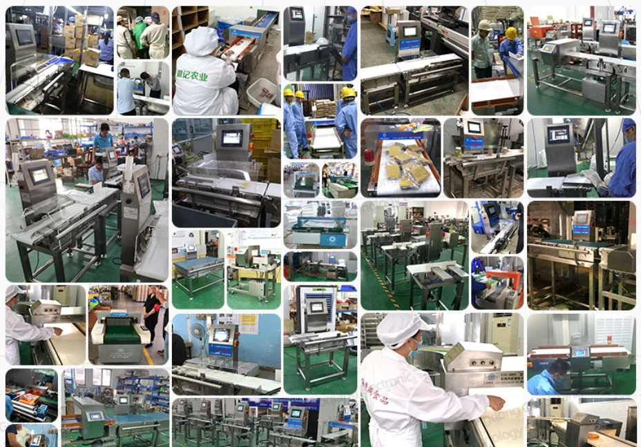 Jindu Machine Fish Sorting and Grading Weighing Scales Machinery