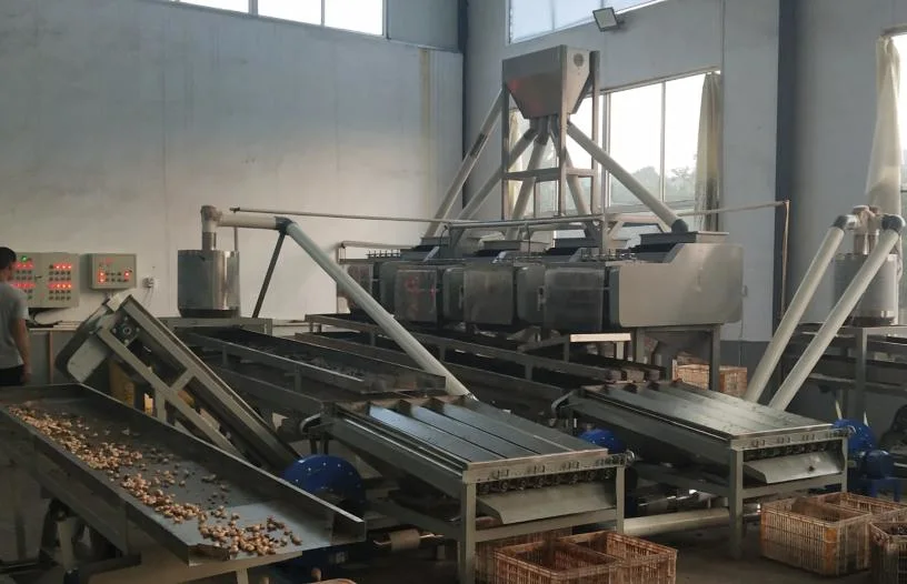 Factory Supply Automatic Cashew Grading Shelling Peeling Processing Production Line Cashew Nut Machine Price