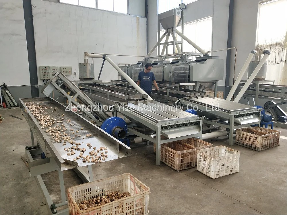 Electric Cashew Nut Processing Breaking Shelling Machine