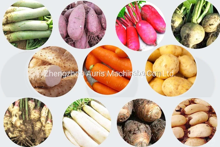 Multi-Function Vegetable Ginger Potato Carrot Washing Cleaning Peeling Machine Aweet Potatoes Skin Removing Machine