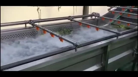 Lavadora de burbujas de manzana naranja de frutas vegetales