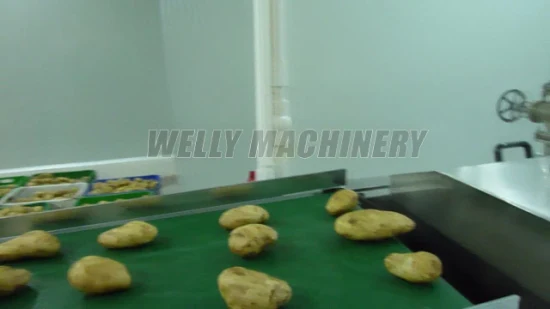 Máquina de procesamiento de deshuesado de separación de extracción de núcleo de ciruela pasa de albaricoque de fruta china