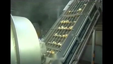 Líneas de procesamiento de máquinas de papas fritas Línea de producción de papas fritas de 100 kg