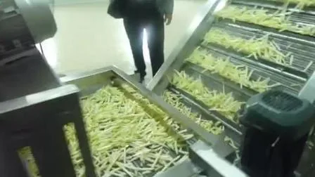 Línea de producción de rebanadas de plátano/papas fritas/papas fritas congeladas completamente automática