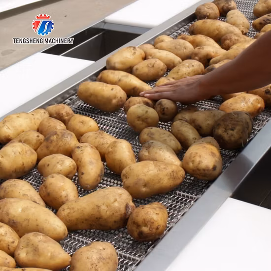 Línea de producción de la máquina cortadora, secadora y lavado de burbujas con rodillo de pelo para recoger patatas dulces y patatas