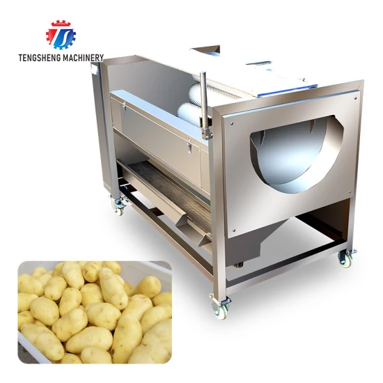 Máquina para pelar y limpiar frutas y verduras Maquinaria industrial para limpieza de alimentos Material de acero inoxidable