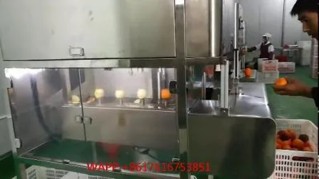 Pelador de frutas, desnuclearizador, removedor de núcleo, máquina de deshuesado para quitar hoyos de frutas