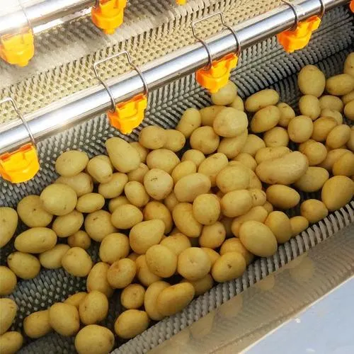 Máquina peladora de rodillos fabricada en China Lavadora de frutas y verduras Máquina limpiadora de rodillos de lana