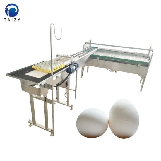 Máquina clasificadora de huevos de calidad, elevador de huevos al vacío, escaladora de huevos, clasificadora, máquina de inspección de huevos