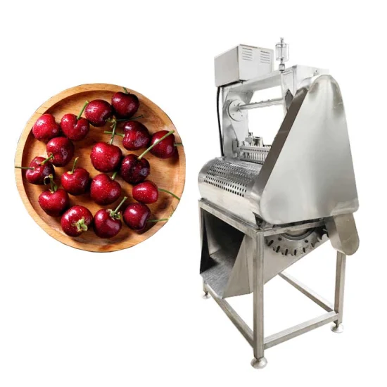 Máquina deshuesadora de aceitunas, fecha de eliminación de semillas de frutas a pequeña escala, manzana, pera, albaricoque, cereza, fecha