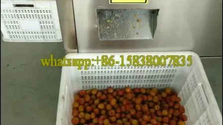 Máquina completamente automática de deshuesado de ciruelas de alta capacidad / Deshuesadora de cerezas / Máquina deshuesadora de frutas