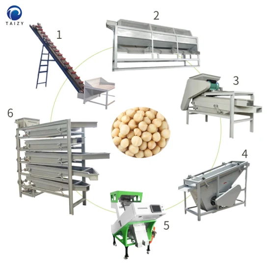 Máquina trituradora de nueces Máquina descascaradora de almendras Máquina de procesamiento de nueces de macadamia y anacardos