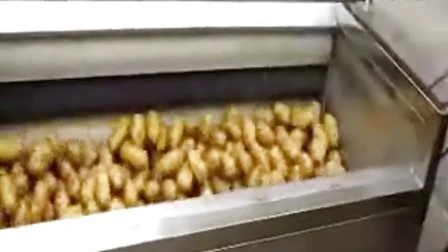 Máquina para hacer papas fritas Máquina para hacer papas fritas Línea de producción de papas fritas