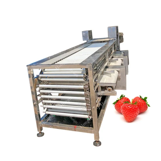 Precio de fábrica comercial automático Longan Lychee Corer clasificador de tomate máquina de clasificación de frutas
