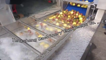 Máquina clasificadora automática del tamaño del equipo de clasificación de Apple de la fruta vegetal Ts-Fs250
